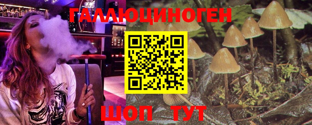 Псилоцибиновые грибы MAGIC MUSHROOMS Лысьва