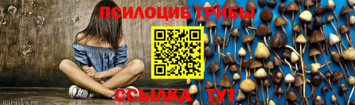 Галлюциногенные грибы Psilocybe  Вход с VPN  купить  сайты  Лысьва 